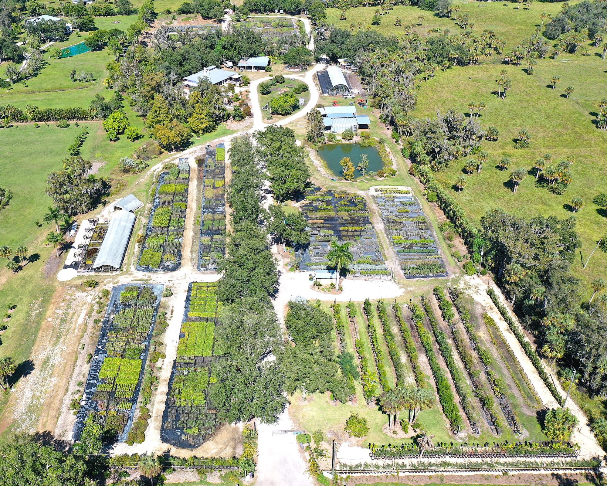 Aerial view of the nursery