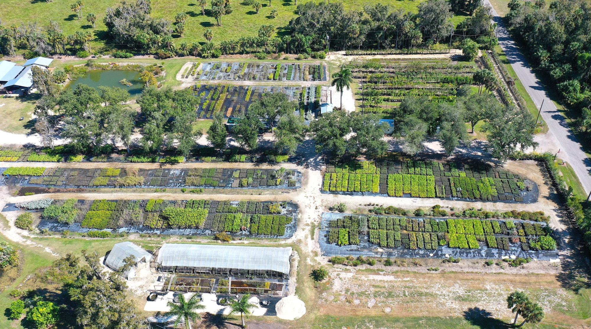 Aerial of the nursery